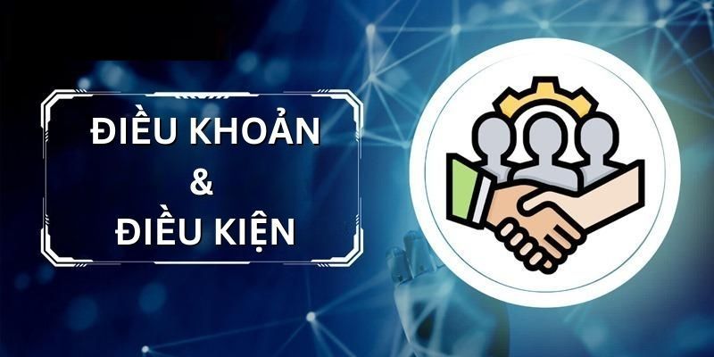 Mục đích của điều khoản và điều kiện