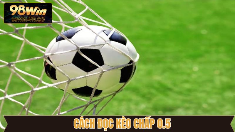 Cách đọc kèo chấp 0.5 trái chuẩn nhất hiện nay